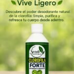 Clorofila Forte Líquida - 560 ml - Secreto Natural
